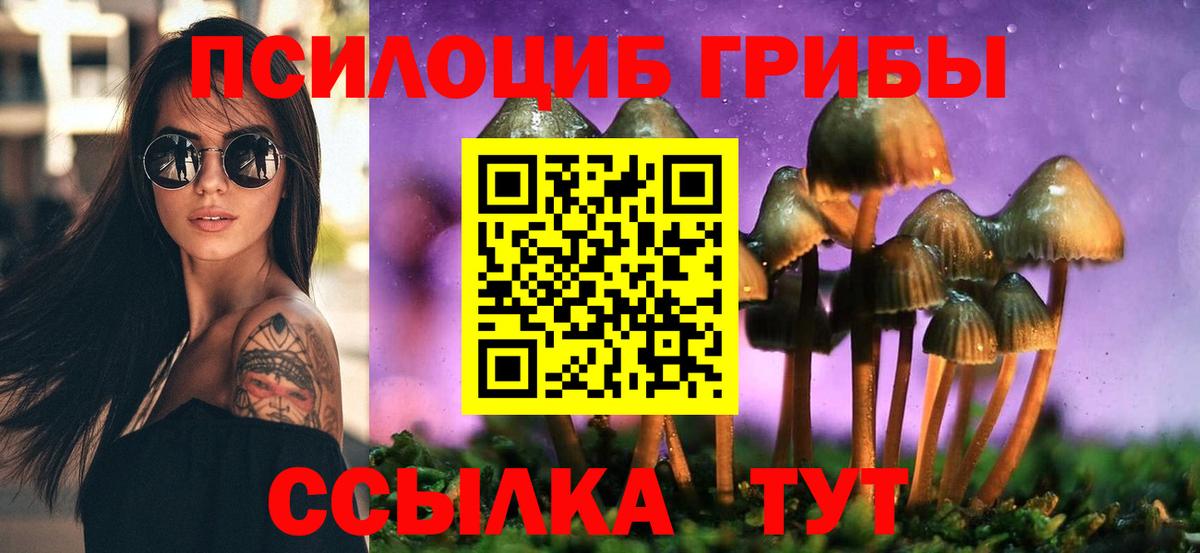 Галлюциногенные грибы GOLDEN TEACHER Каменск-Уральский