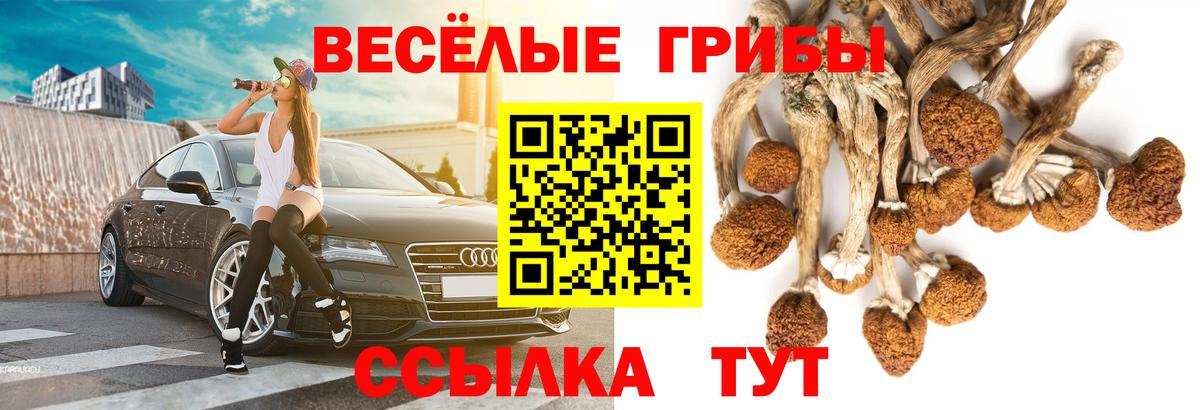 магазин продажи наркотиков  Вход с VPN  Каменск-Уральский  Псилоцибиновые грибы Cubensis 